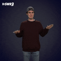 Not Me No GIF by SWR3