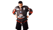 boxersdebordeaux sport celebration goal hockey Sticker