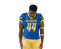 delaware football Sticker by Delaware Blue Hens