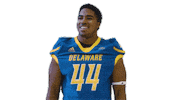 football lol Sticker by Delaware Blue Hens