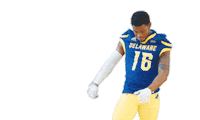 Dance Football Sticker by Delaware Blue Hens