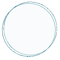 hotel_schwarzbrunn button white button hotel schwarzbrunn schwarzbrunn Sticker