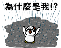 chick thechick Sticker by 盜哥-大陰盜百貨CEO