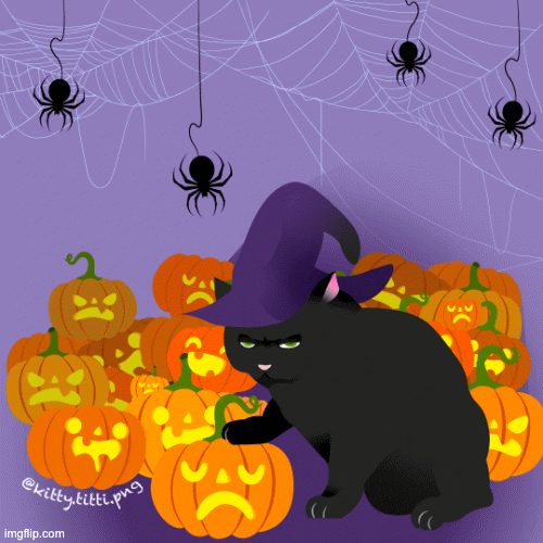 kitty_titti giphyupload halloween spooky black cat GIF