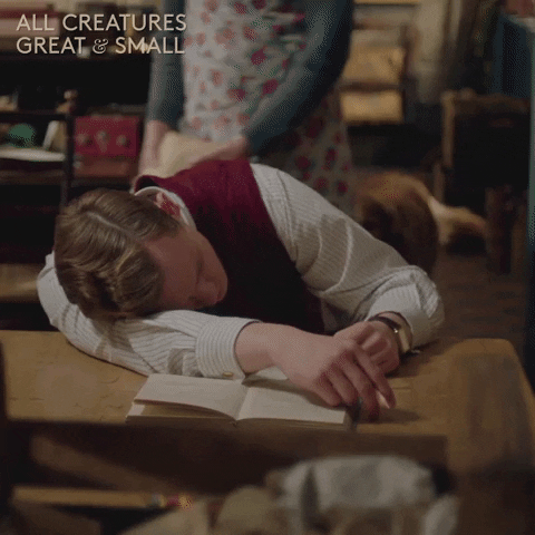 allcreaturestv giphyupload animals reading hit GIF