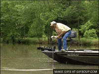 fishing GIF