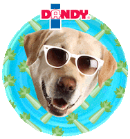 Dog Days Of Summer Sticker by Duda Fresh