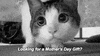 mothers day cat GIF by Product Hunt