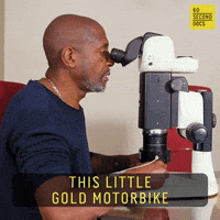 Work Working GIF by 60 Second Docs