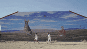 new music pop GIF by THUMP