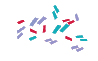 Confetti Celebrate Sticker by @WPA_NYC