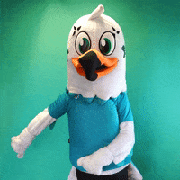 BBHOTELSKTM happy dance glaz men in glaz bb hotels - ktm GIF