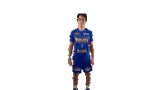 Volleyball Sticker by CBV