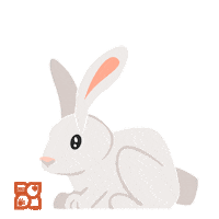 bunny rabbit Sticker by Petland Florida