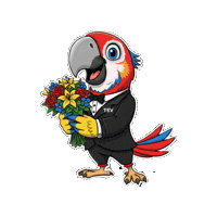 Sport Sticker by TSV Falkensee e.V.
