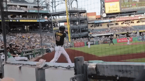 big cat pft GIF by Barstool Sports