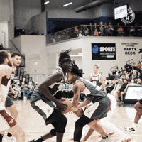 Milwaukee Bucks Sport GIF by Wisconsin Herd