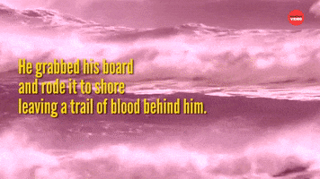 Shark Week Sharks GIF by BuzzFeed