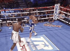 toprank fight fighting espn fighters GIF