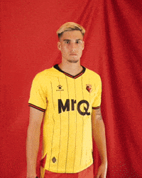 Celebrating Watford Fc GIF by Watford Football Club
