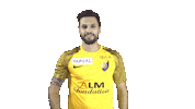 SRDOfficiel football celebration goal ok Sticker