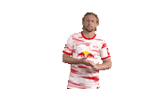 Lets Go Football Sticker by RB Leipzig
