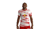 Football Smile Sticker by RB Leipzig