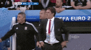 euro 2016 GIF by Sporza