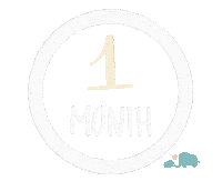 Babies Milestone Sticker by Baby Nest Designs