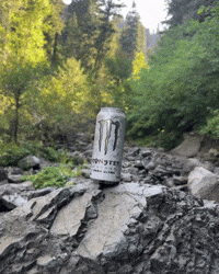 Monster Energy GIF