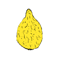 Jewish Sukkot Sticker