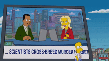 Destroy Democracy | Season 33 Ep 22 | THE SIMPSONS