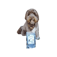 Dog Treats Sticker by Geekster Pets