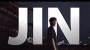 Jin Bts Netflix GIF