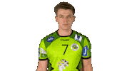 Handball-Bundesliga Handball Sticker by LIQUI MOLY HBL