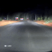 Driving Ford GIF by FIA World Rally Championship