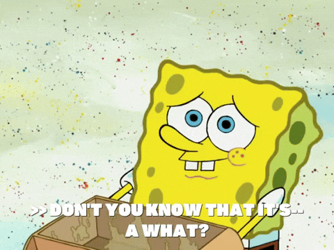 season 6 pet or pets GIF by SpongeBob SquarePants