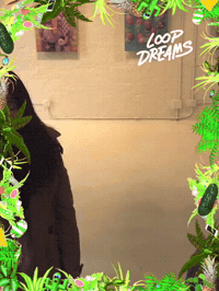 loopdreams by Loop Dreams GIF Booth