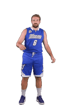 Basketball Swipe Sticker by ACSL - Austrian College Sports League