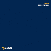 Baseball GIF by WVU Tech Golden Bears