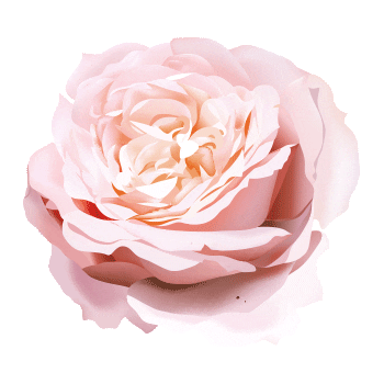 Flower Sticker by elan_cafe