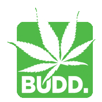 GetBudd cbd bud budd get budd Sticker