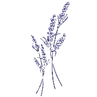 Lavender Sticker by Ofa Bamberg