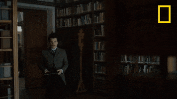 albert einstein natgeo channel GIF by National Geographic Channel
