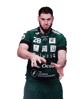 Lidl Starligue Ensemble Sticker by USAM NIMES GARD