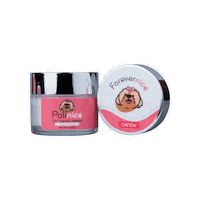 Polinice polinice poliniceonline Sticker