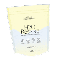 WelleEssentials keto WELLE welle keto welle nz Sticker