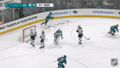 Dallas Stars No GIF by NHL