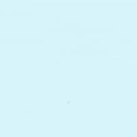 SouthBurton art frog funky tadpole GIF