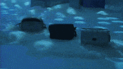 Excited Holiday GIF by Coach